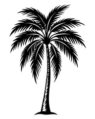 Obraz premium plam tree eps vector bundle 