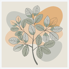 Stunning Locust Tree Vector Illustration