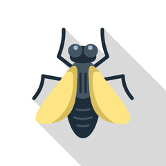 Obraz premium House fly icon representing spreading of germs and diseases through insects
