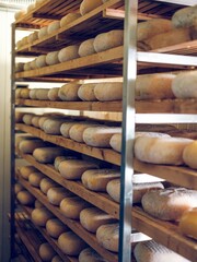 Aging Mahon cheese wheels on wooden shelves in storage