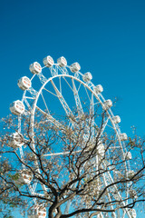 Fototapety na wymiar - Fototapeta24.pl