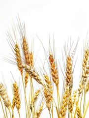 Fototapeta premium Close-up photograph of wheat grains with straw, showcasing the detailed texture and structure of the crop.