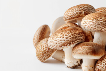 Shiitake Mushrooms, Agaricus bisporus, Healthy food, Autumn, Forest