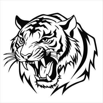 Tiger animal vector