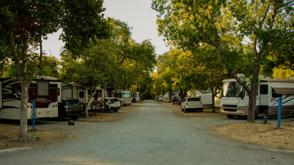 Rv vehicles parked at campsites under trees 