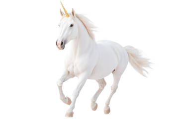 A white unicorn with a golden horn is running on a white or transparent background, PNG clipart.