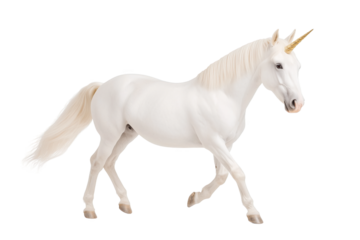 A white unicorn with a golden horn is walking on a white or transparent background, PNG clipart.