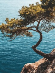 Majestic Cliff with Ancient Tree