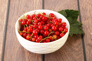 Ripe sweet organic red currant heap