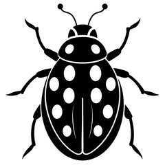 Ash grey lady beetle art vector illustrator