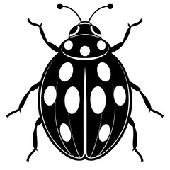 Fototapeta premium Ash grey lady beetle art vector illustrator