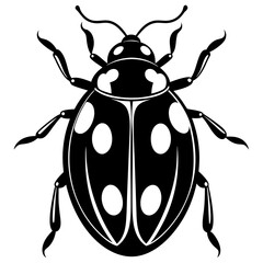 Ash grey lady beetle art vector illustrator