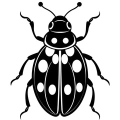 Ash grey lady beetle art vector illustrator