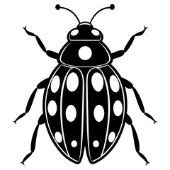 Ash grey lady beetle art vector illustrator