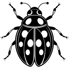 Ash grey lady beetle art vector illustrator