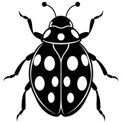 Ash grey lady beetle art vector illustrator