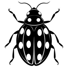 Ash grey lady beetle art vector illustrator