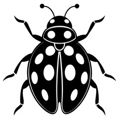 Ash grey lady beetle art vector illustrator