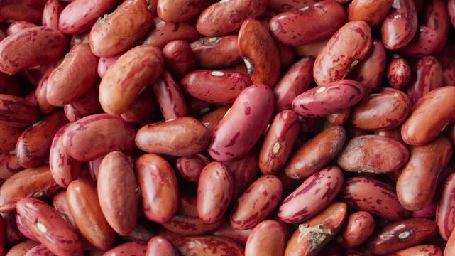 Each kidney bean gleams, smooth and round as if polished by the touch of time
