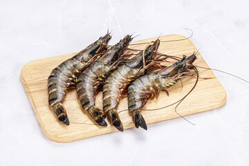 Raw tiger prawn for cooking