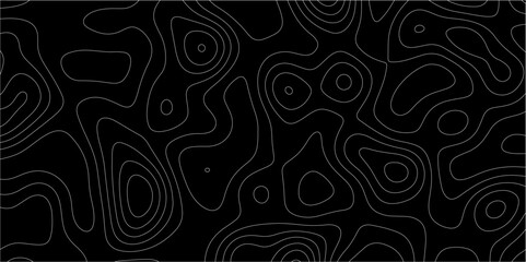 Fototapeta premium Abstract lines background. Contour maps. Vector illustration. The stylized height of the topographic map contour in lines and contours isolated on transparent. technology topo landscape grid map text.