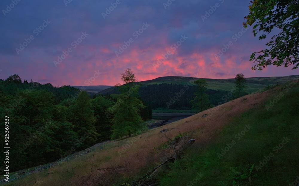 Wall mural beautiful landscape of a forested hillside at sunset with a dramatic pink and purple sky