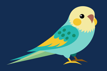 Budgerigar budgie bird vector art illustration