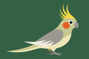 Cute cockatiel bird vector art illustration