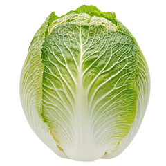 cabbage transparent background