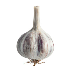 Garlic transparent background
