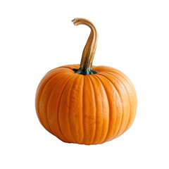 pumpkin on the transparent background
