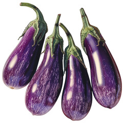 Fresh eggplants group transparent background