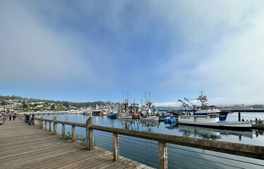 Obraz premium Boats docked in peaceful, serene bay. 