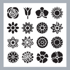 Set of logotype icons flowers Rose, Tulip, Orchid, Sunflower, Lily, Daisy, Daffodil, Jasmine, Lavender, Marigold, Peony, Chrysanthemum, Hibiscus, Poppy, Violet silhouettes in white background