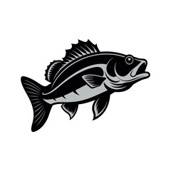 Bass fish vector isolated illustration design