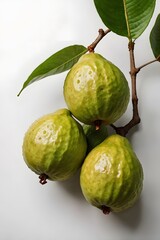 Fototapeta premium Guava Fruit Still Life and Avatar Images on White Background