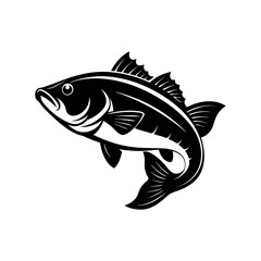 Bass fish vector isolated illustration design