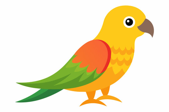 recommend clip art: Sun conure bird vector art illustration