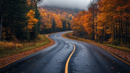 Fototapeta premium A winding road glistens after rain, framed by colorful autumn trees and a peaceful lake reflecting the warm hues of fall