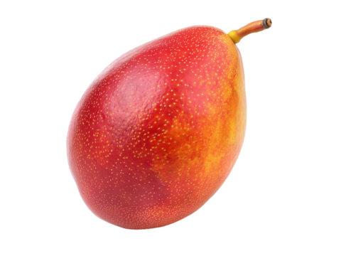 Manga madura e suculenta, rica em vitamina C e betacaroteno