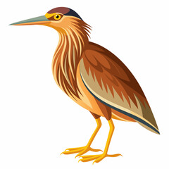 Bittern Art vector illustration
