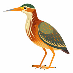 Bittern Art vector illustration