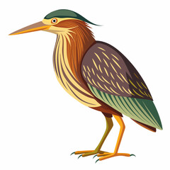 Bittern Art vector illustration