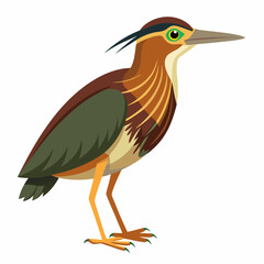 Bittern Art vector illustration