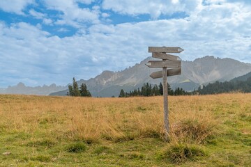signpost in the forest