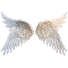 Fototapeta premium wings isolated on a transparent background