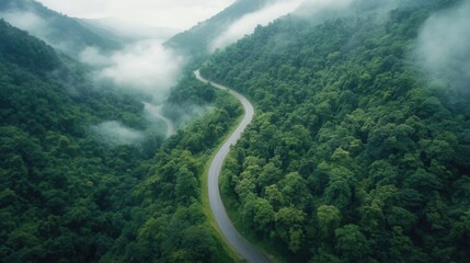 A winding road through lush green mountains with mist and fog creating a serene atmosphere.