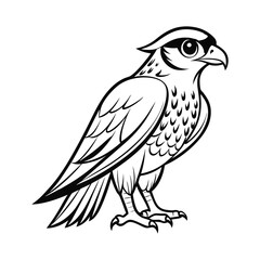 A black and white drawing of a falcon bird 02