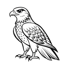 A black and white drawing of a hawk bird