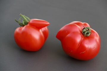 Tomates du jardin